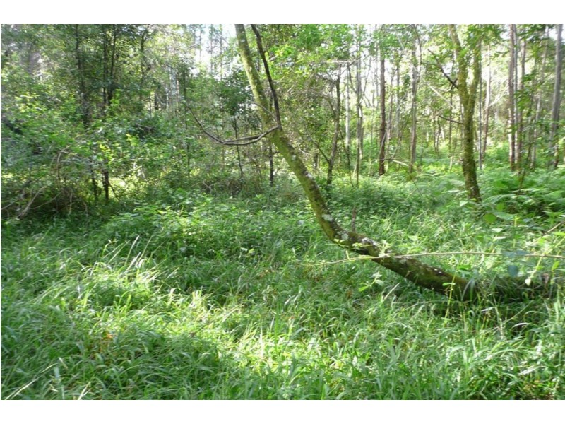 328 Couchy Creek Road, Chillingham NSW 2484