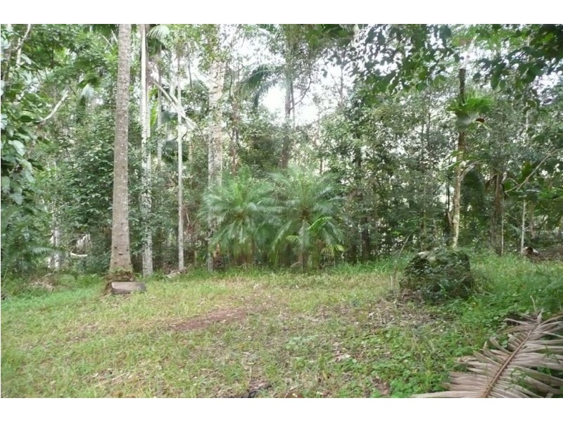 328 Couchy Creek Road, Chillingham NSW 2484