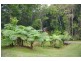 28 Teak Place, Murwillumbah NSW 2484