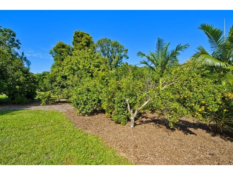 52 Braeside Drive, Uki NSW 2484