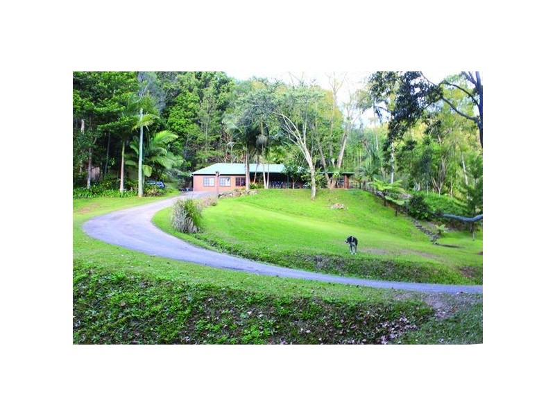 55 Rowlands Creek, Uki NSW 2484