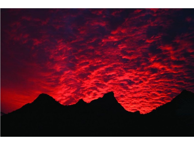 55 Rowlands Creek, Uki NSW 2484