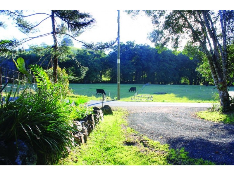 55 Rowlands Creek, Uki NSW 2484