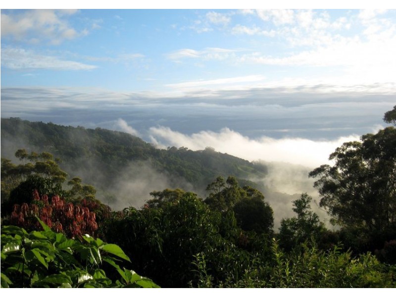 47 Hammond Drive, Clothiers Creek NSW 2484