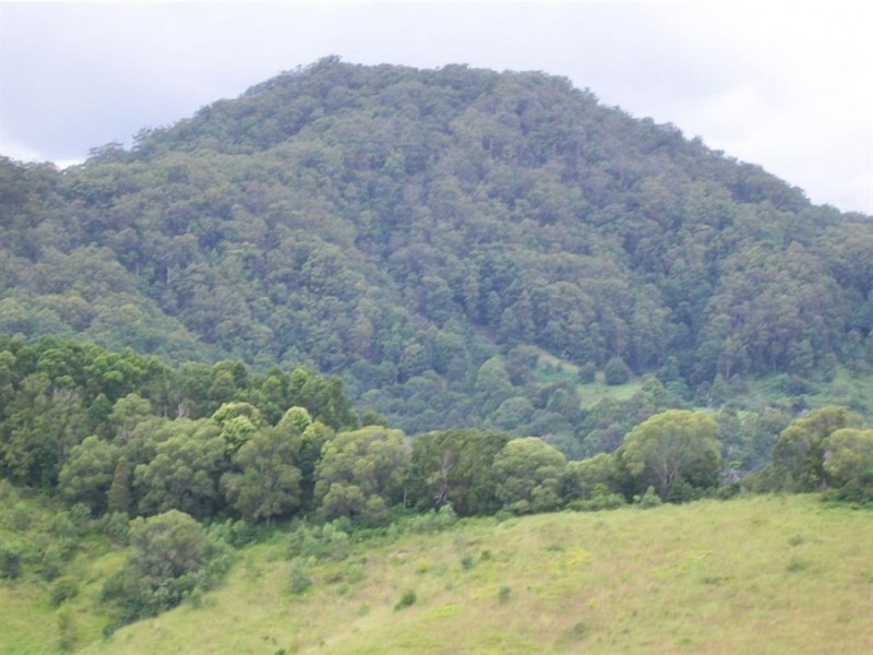 327 Nolans Road, Stokers Siding NSW 2484