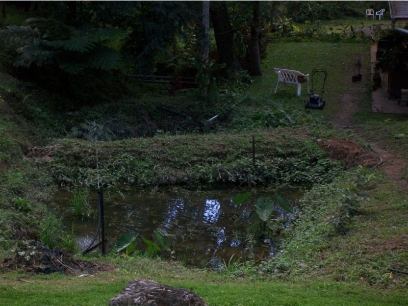 327 Nolans Road, Stokers Siding NSW 2484