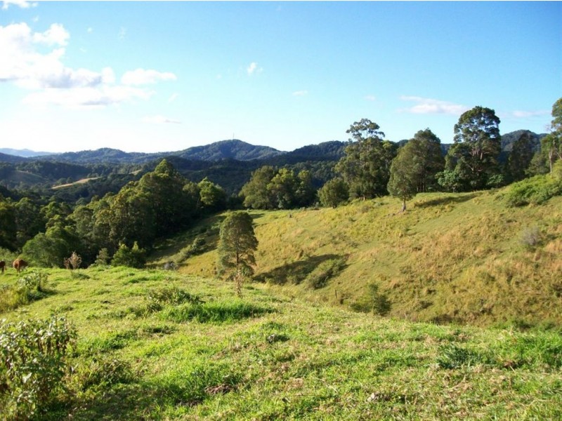 327 Nolans Road, Stokers Siding NSW 2484