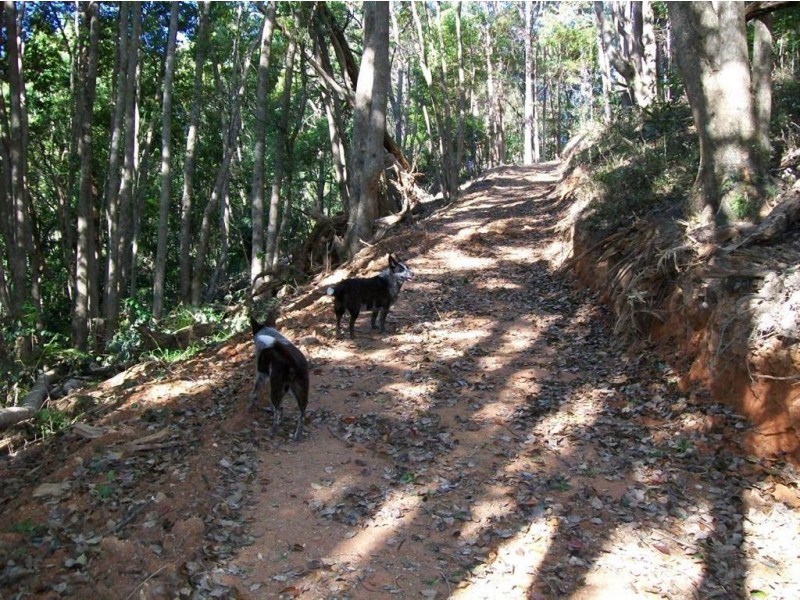 327 Nolans Road, Stokers Siding NSW 2484