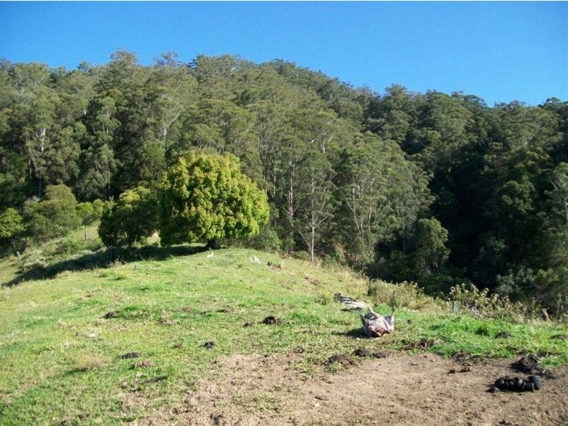 327 Nolans Road, Stokers Siding NSW 2484