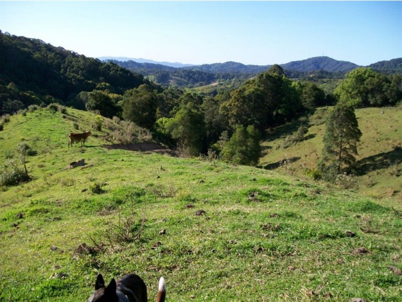 327 Nolans Road, Stokers Siding NSW 2484