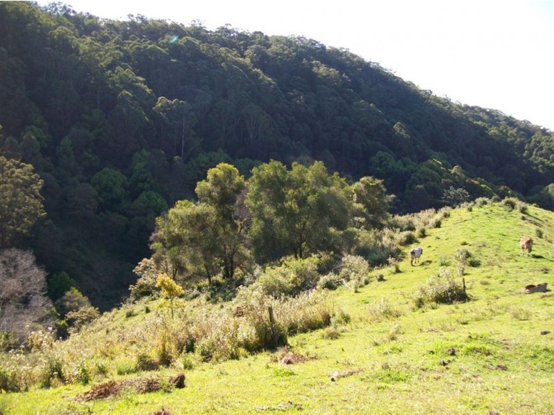 327 Nolans Road, Stokers Siding NSW 2484