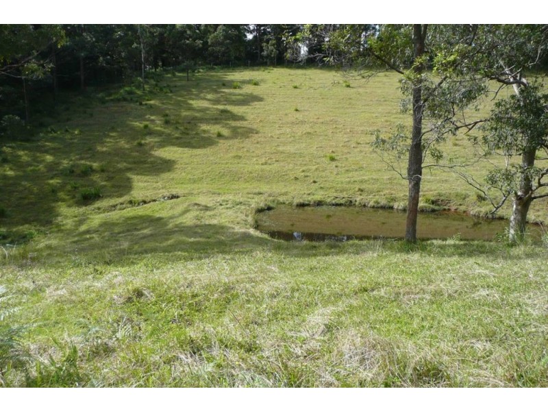 40 Pine Log Road, Murwillumbah NSW 2484
