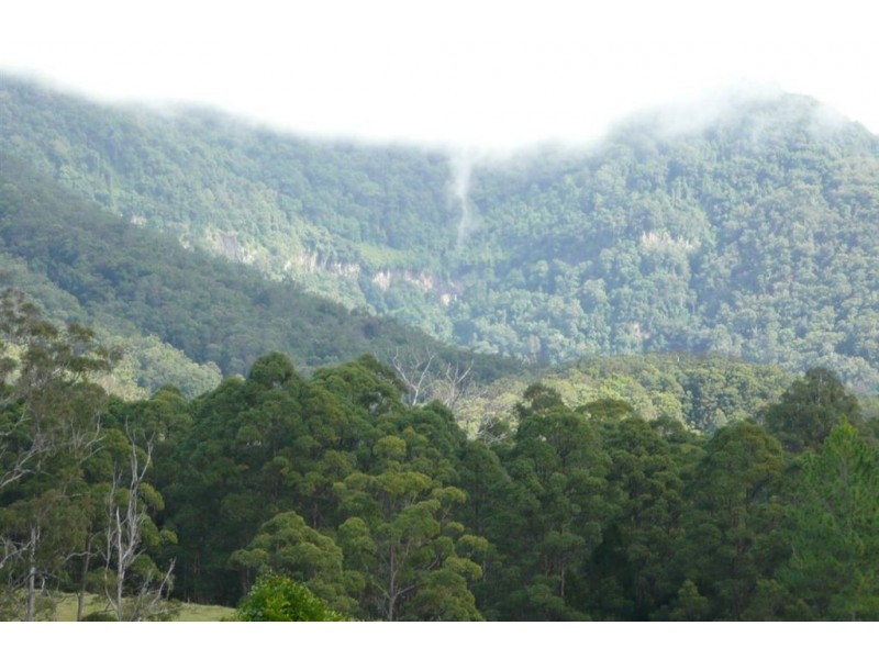 40 Pine Log Road, Murwillumbah NSW 2484