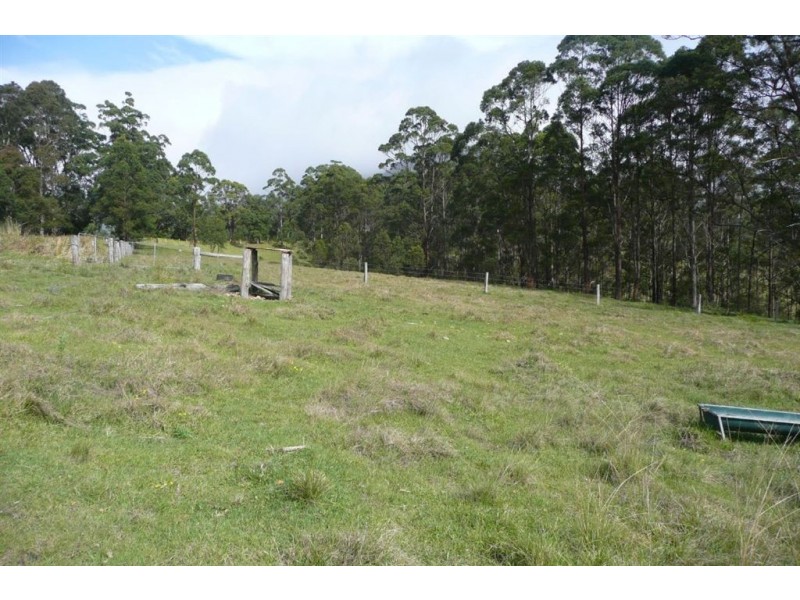 40 Pine Log Road, Murwillumbah NSW 2484