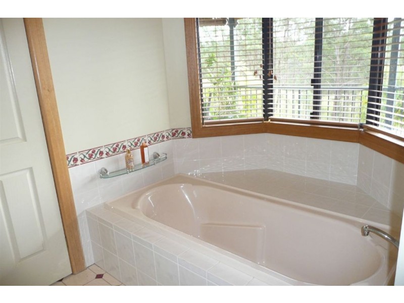 40 Pine Log Road, Murwillumbah NSW 2484