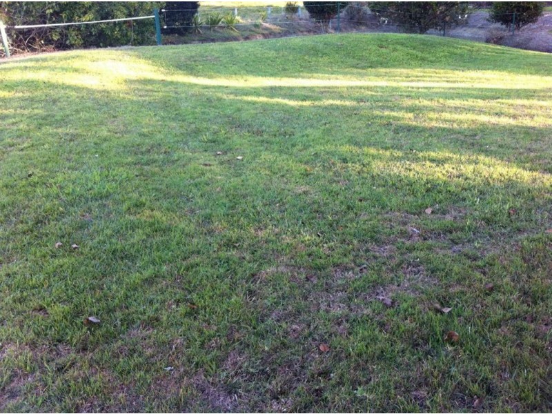 8 Alroys Lane, Stokers Siding NSW 2484