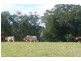 645-647 stokers Road, Stokers Siding NSW 2484