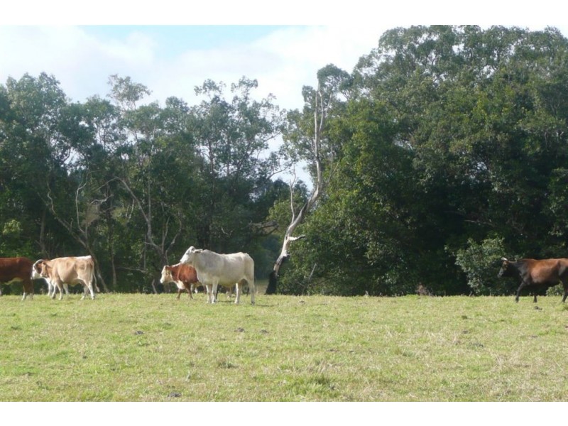 645-647 stokers Road, Stokers Siding NSW 2484