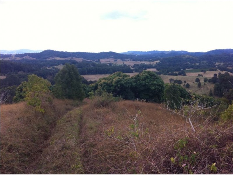 149 McConnells Road, Murwillumbah NSW 2484