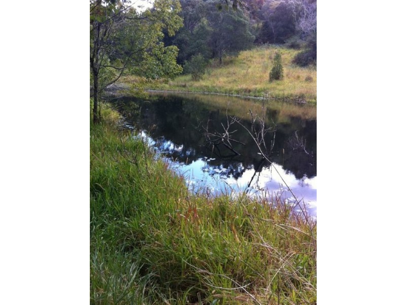 149 McConnells Road, Murwillumbah NSW 2484