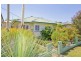 7 William Street, Murwillumbah NSW 2484