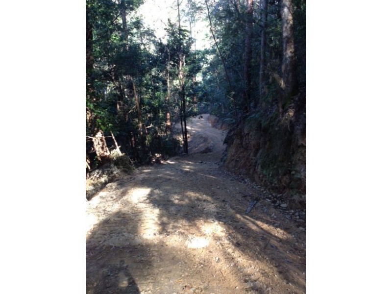 790 Upper Burringbar Road, Burringbar NSW 2483