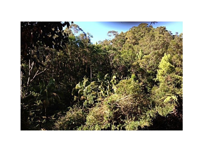 790 Upper Burringbar Road, Burringbar NSW 2483