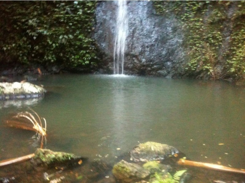 790 Upper Burringbar Road, Burringbar NSW 2483