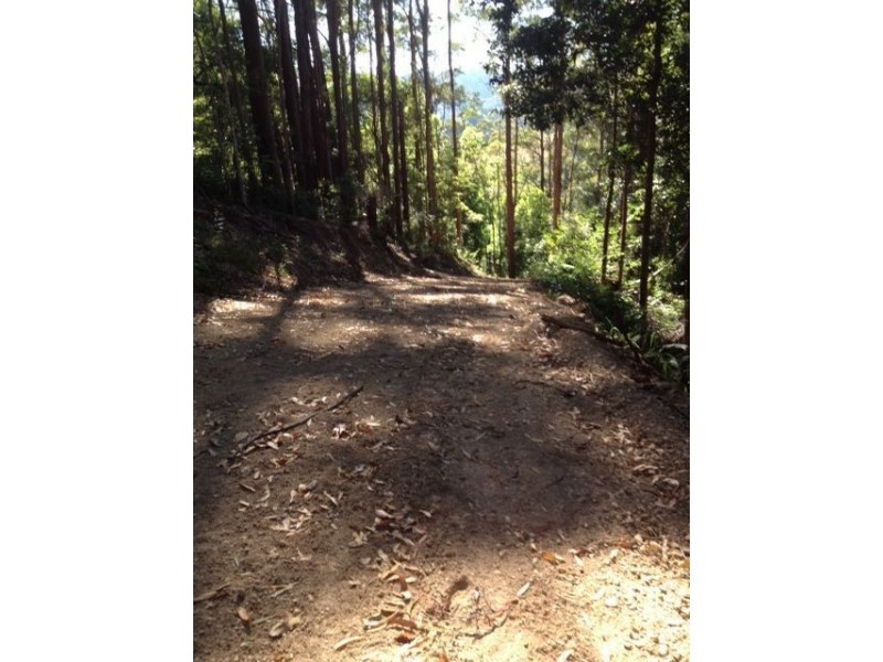 790 Upper Burringbar Road, Burringbar NSW 2483