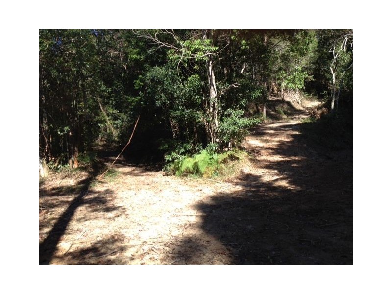 790 Upper Burringbar Road, Burringbar NSW 2483