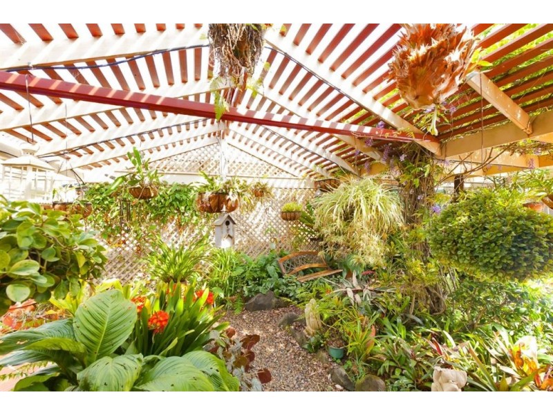 15 Reserve Creek Road, Murwillumbah NSW 2484