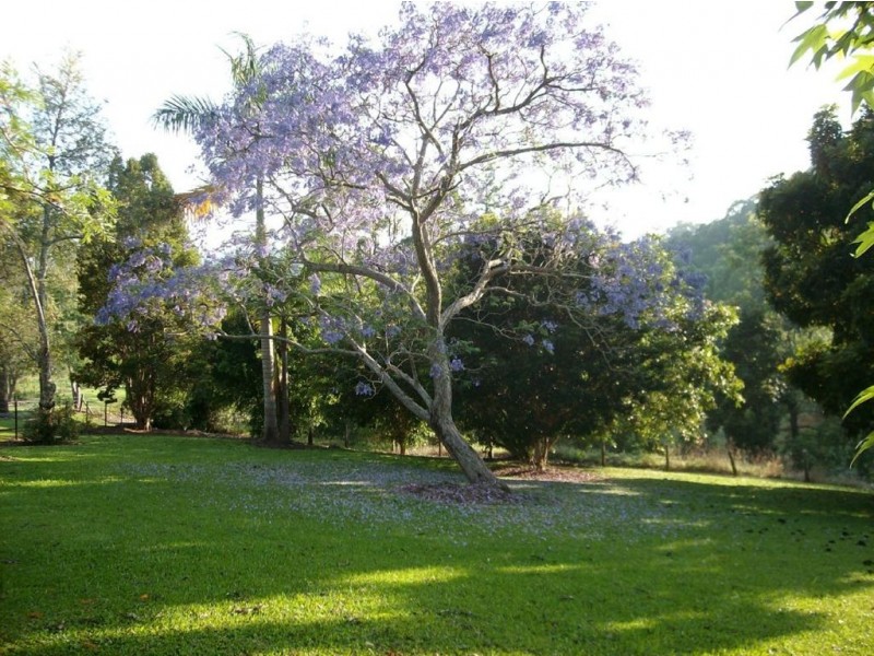 Murwillumbah NSW 2484