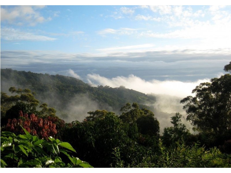 47 Hammond Drive, Clothiers Creek NSW 2484