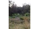 1336 Byrrill Creek Road, Byrrill Creek NSW 2484