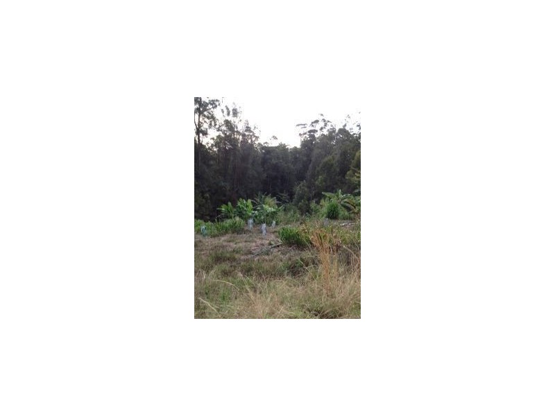 1336 Byrrill Creek Road, Byrrill Creek NSW 2484