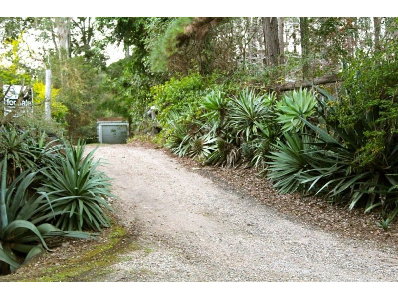 1113 Limpinwood Road, Tyalgum NSW 2484