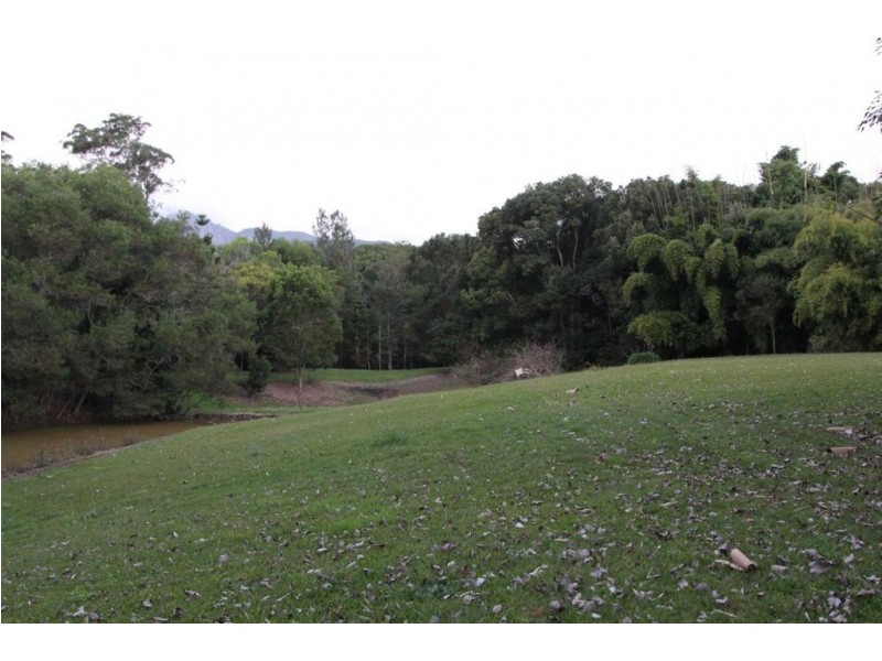 1113 Limpinwood Road, Tyalgum NSW 2484