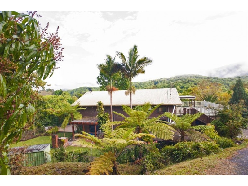 262 Smiths Creek Road, Uki NSW 2484