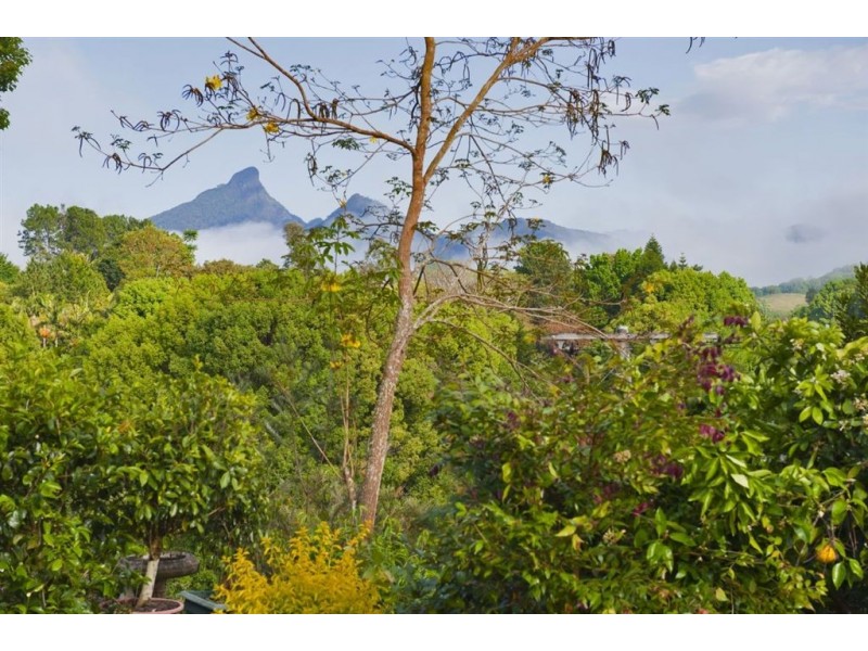 262 Smiths Creek Road, Uki NSW 2484