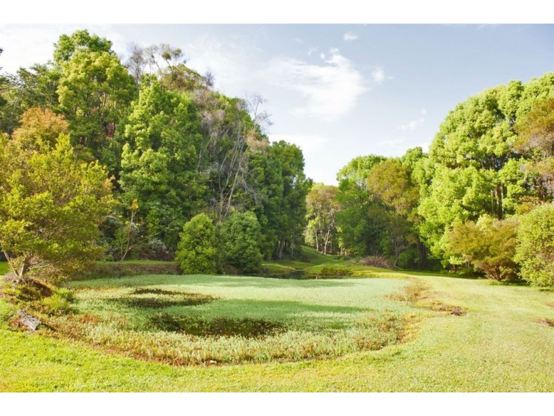 262 Smiths Creek Road, Uki NSW 2484