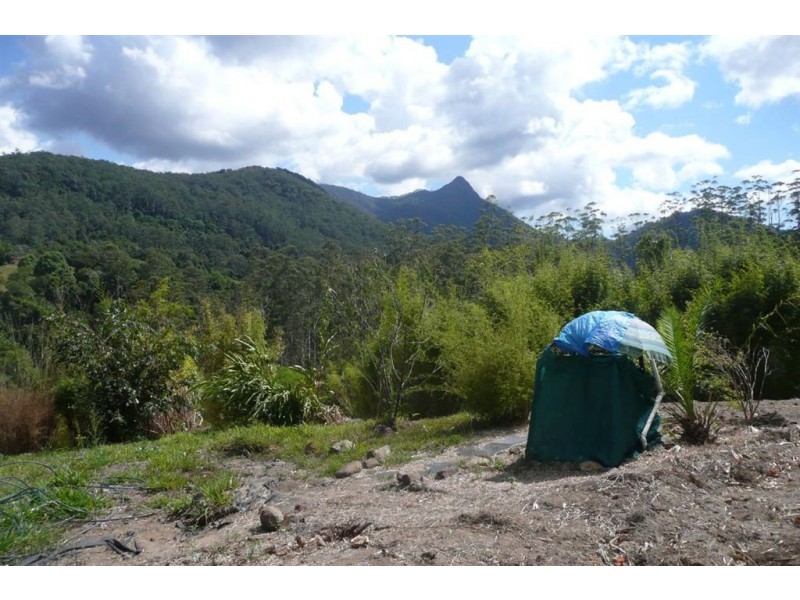 433 Byrill Creek Road, Byrrill Creek NSW 2484