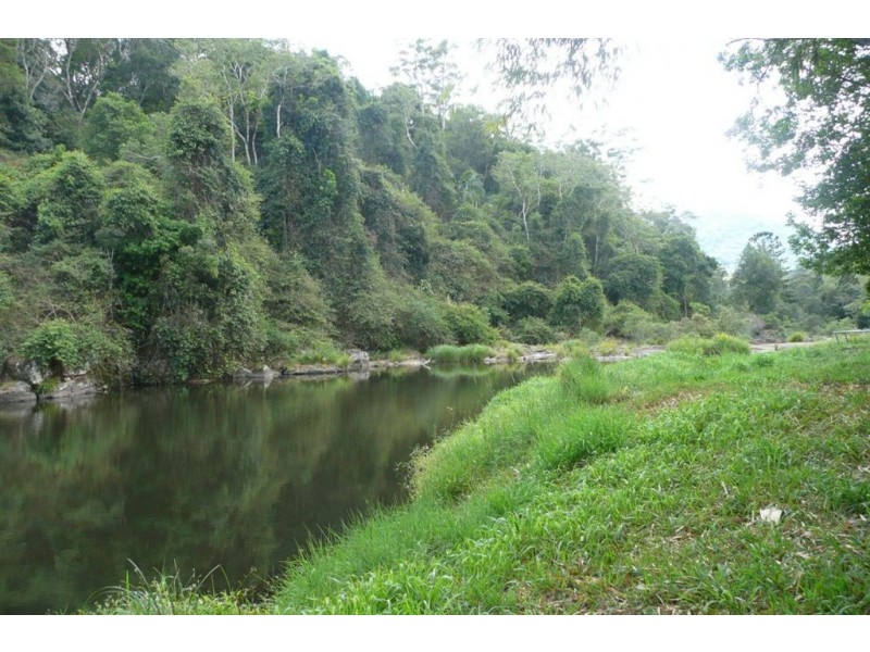 433 Byrill Creek Road, Byrrill Creek NSW 2484