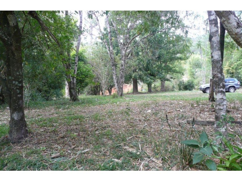 433 Byrill Creek Road, Byrrill Creek NSW 2484