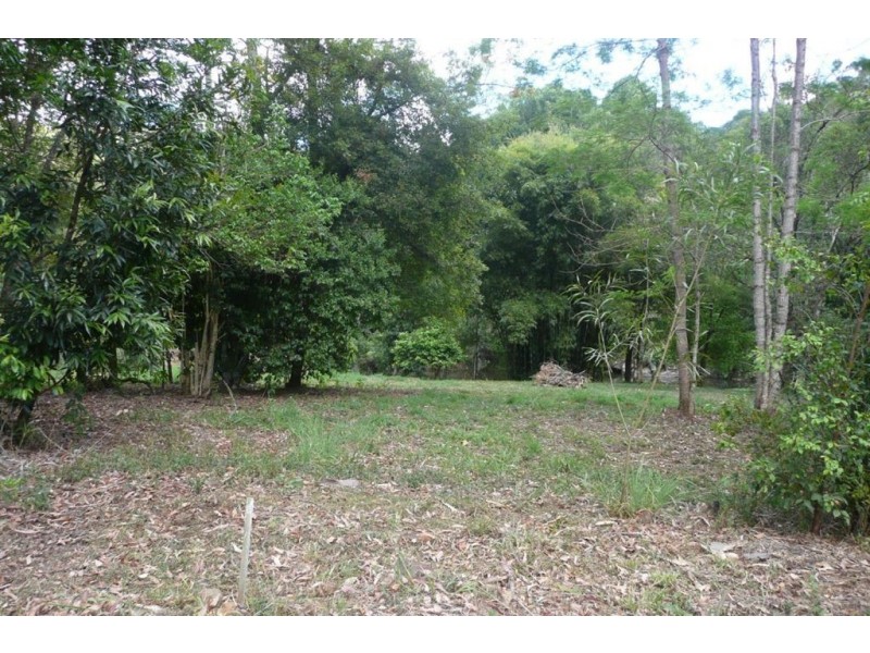 433 Byrill Creek Road, Byrrill Creek NSW 2484