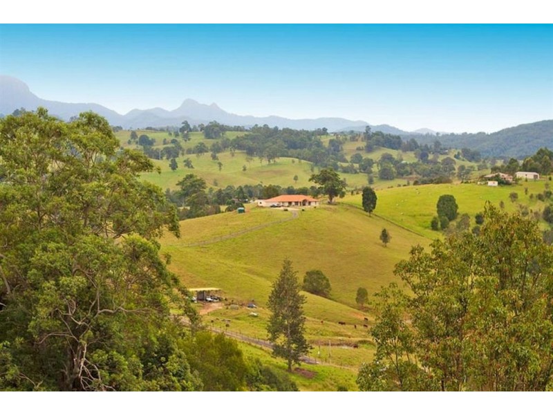 46 Possumwood Close, Tyalgum NSW 2484