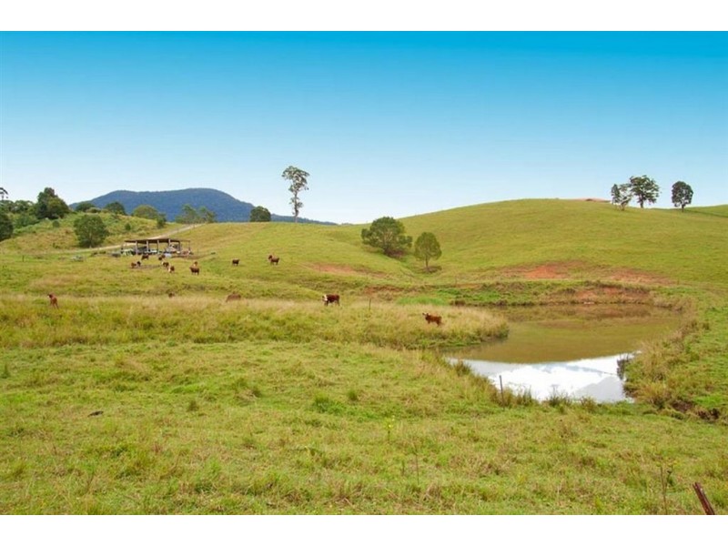 46 Possumwood Close, Tyalgum NSW 2484