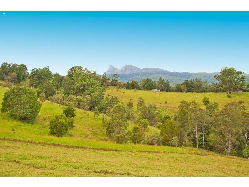 46 Possumwood Close, Tyalgum NSW 2484