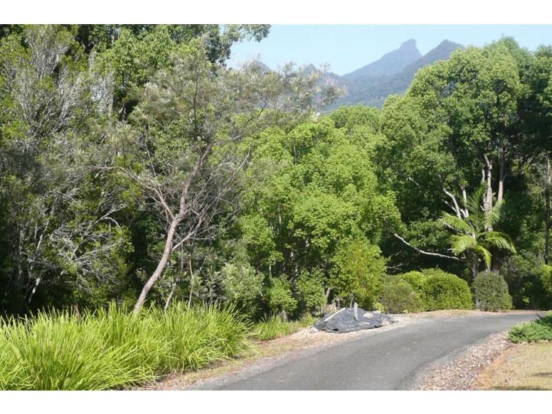 42 Meadow Place, Uki NSW 2484