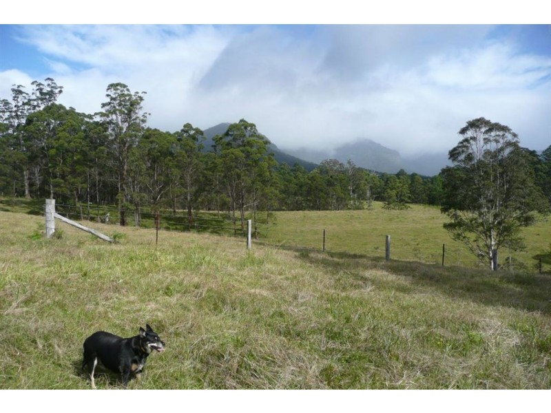 40 Pine Log Road, Murwillumbah NSW 2484