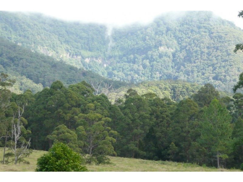 40 Pine Log Road, Murwillumbah NSW 2484